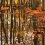 reflectie